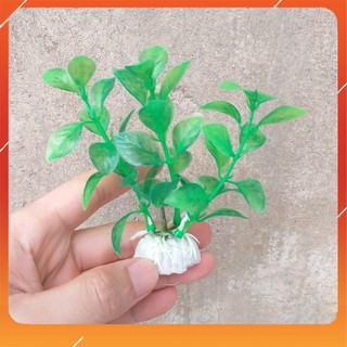Cây nhựa mini trang trí hồ cá