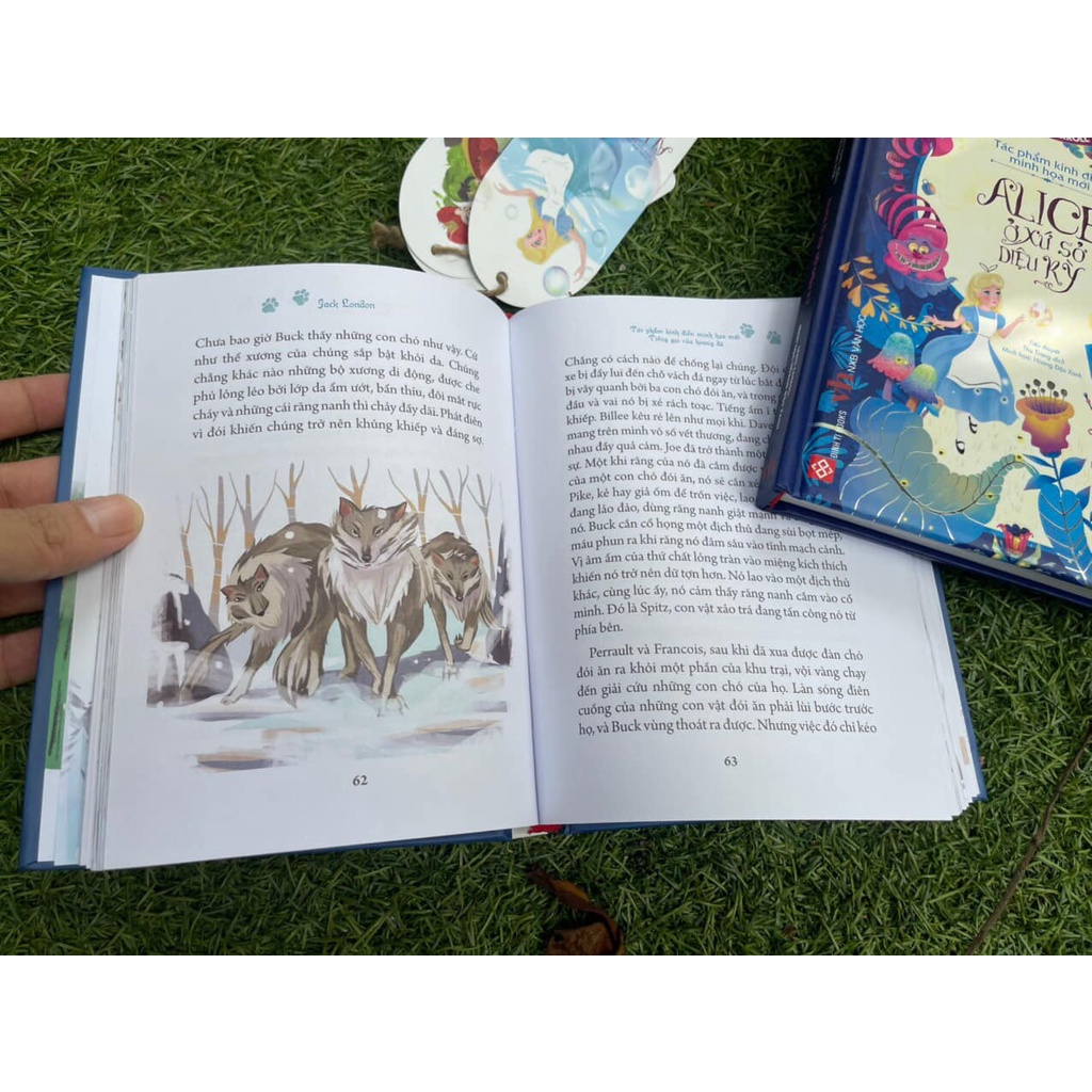 Sách - Tiếng Gọi Nơi Hoang Dã - Jack London - Bình Book