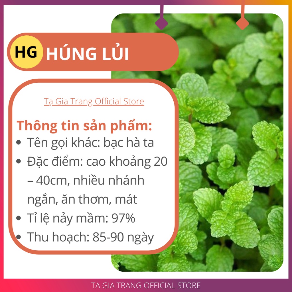 Hạt giống rau bạc hà ta (húng lủi) - Gói 3000 hạt/ 1500 hạt