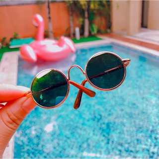 Mắt kính thời trang cho thú cưng ( Giao màu ngẫu nhiên các bạn nhé )