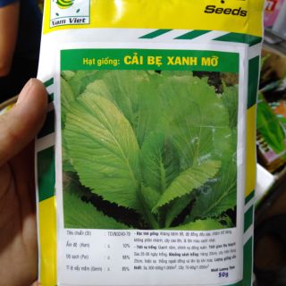 Gói Hạt giống cải bẹ xanh mỡ 50g