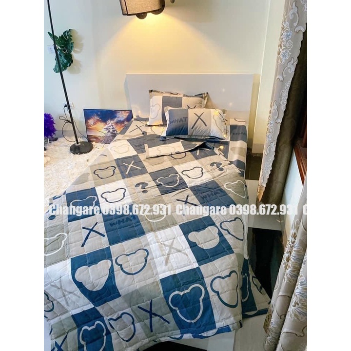 Bộ 5 món chăn ga gối hè m6/m8(1 ga trải giường+2 vỏ gối đầu+1 vỏ gối ôm+1 chăn hè)chất liệu cotton poly, nhiều mẫu mã