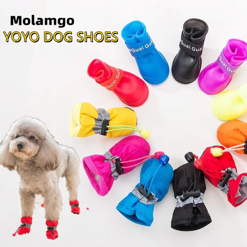Set 4 ủng đi mưa kháng nước dễ thương cho thú cưng giày cho thú cưng giày cho cún