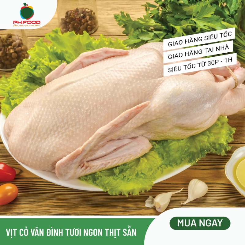 - Vịt Cỏ Vân Đình Tươi Ngon Thịt Sẵn