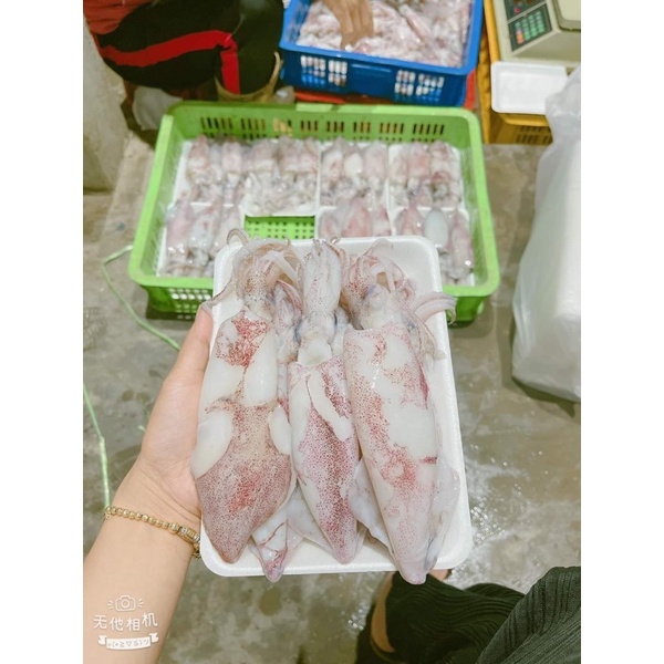 Mực ống tươi 1kg ngon ngọt ❤️ GIÒN NGON❤️ 1kg xào , hấp , thả lẩu