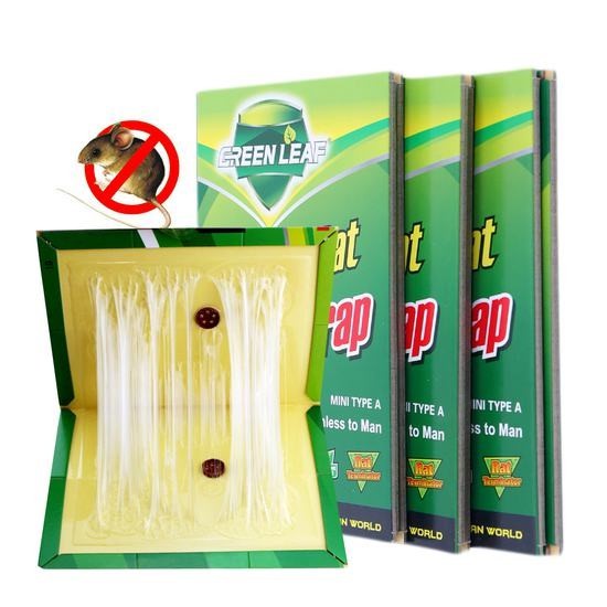 Keo Dính Chuột Mouse &amp; Rat Glue Traps - Siêu Dính