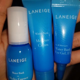Mặt nạ ngủ mini Laneige