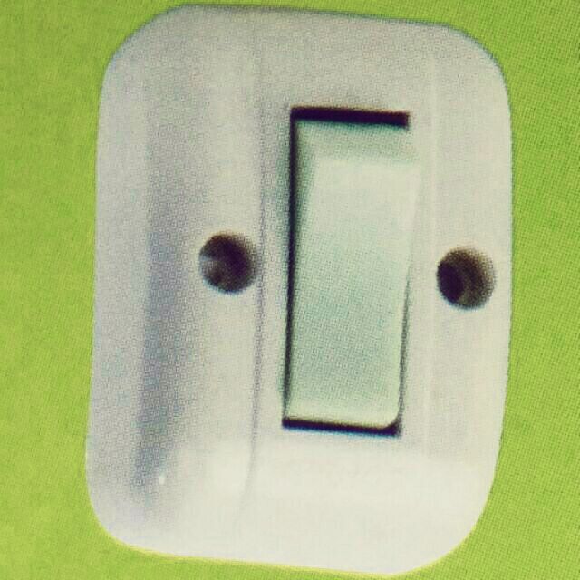 Công tắc điện 2 cái