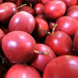 Hạt cây chanh dây - gói 30 hạt