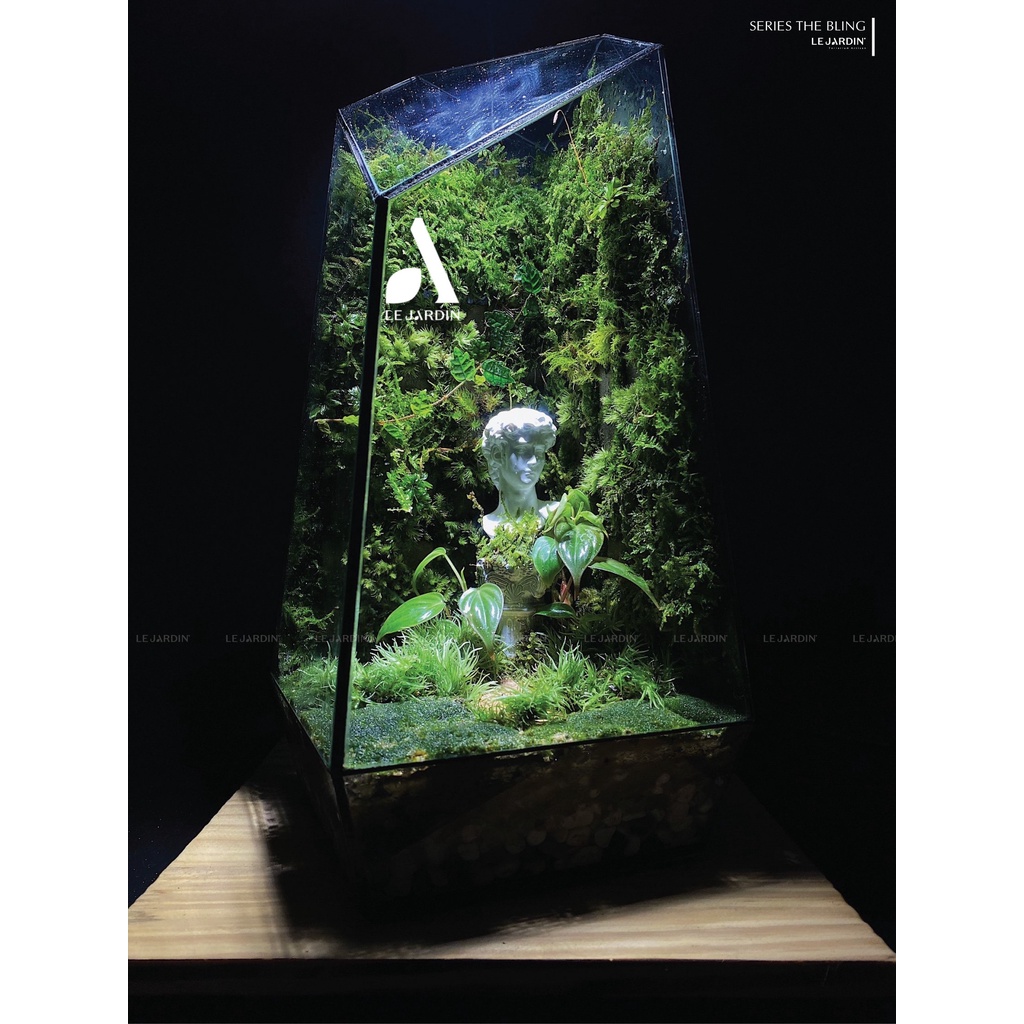 Rêu Nhung - trang trí chậu bonsai và tiểu cảnh -  set bình terrarium, gắn lũa, đá hồ bán cạn