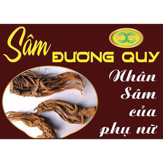 Củ Sâm Đương Quy Khô Sạch 500G thơm ngon