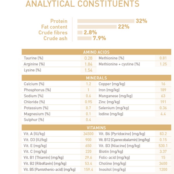 Hạt mèo con Royal Canin Persian Kitten Thức ăn cho mèo con 400g Petemo Pet Shop