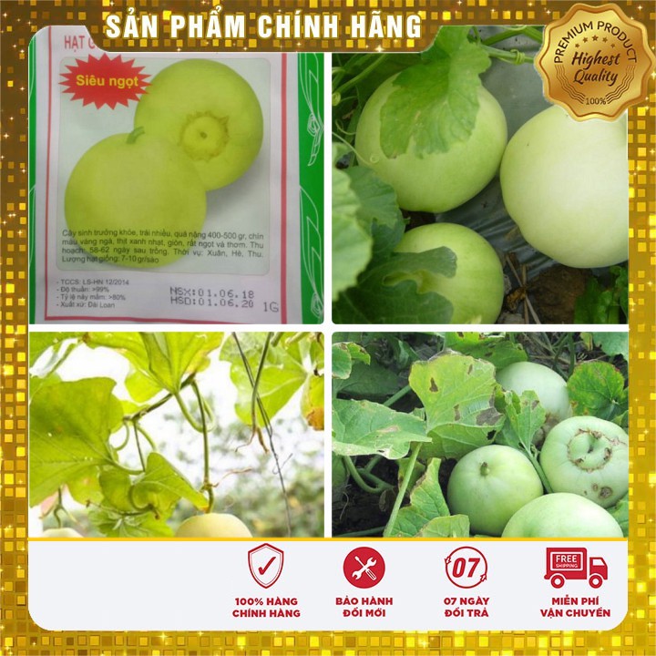Hạt Giống Dưa Lê Siêu Ngọt(01g)