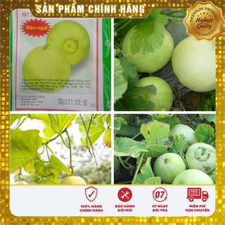 Hạt Giống Dưa Lê Siêu Ngọt(01g)
