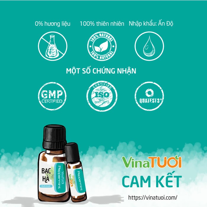 Tinh dầu thiên nhiên Bạc Hà 10ml - Vina Tươi