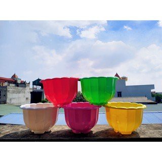 CHẬU BÍ TREO 10 CÁI( BAO GỒM CẢ CHẬU VÀ DÂY TREO)