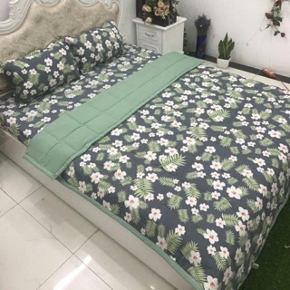 Bộ chăn ga gối cotton đũi 5 món