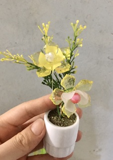 10 chậu hoa đá pha lê