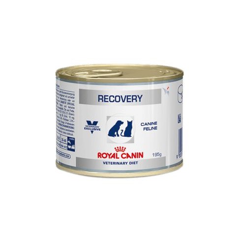 Pate cho chó mèo giúp phục hồi sức khỏe Royal Canin Recovery 195g