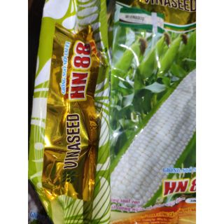 Hạt giống NGÔ NẾP LAI HN 88 ( bán lẻ nửa lạng 20k )