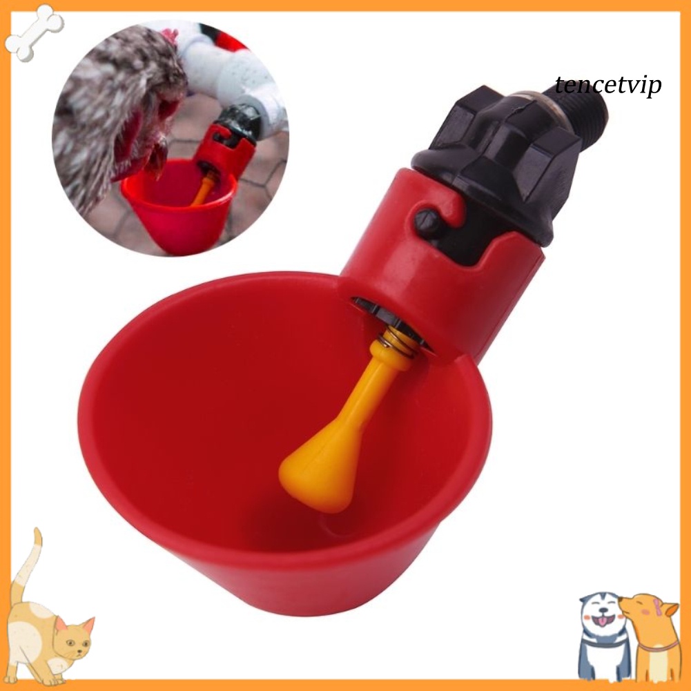 Set 5 Máng Uống Nước Tự Động Cho Gà