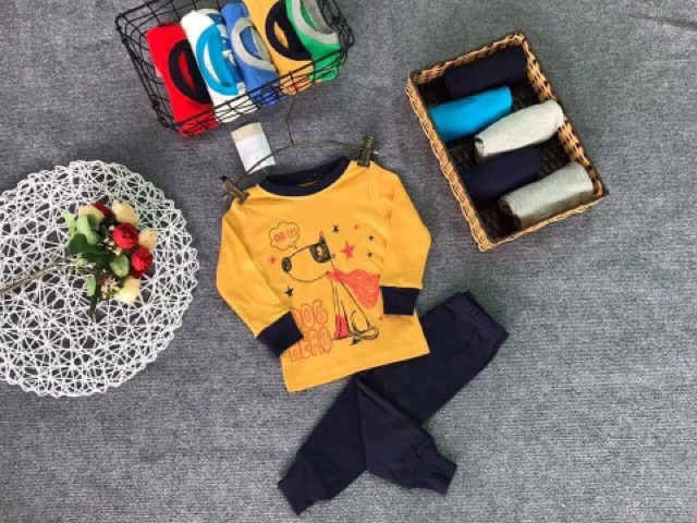 Bộ bozip/borip dài tay vnxk màu vàng 8-21 kg ( hình thật )