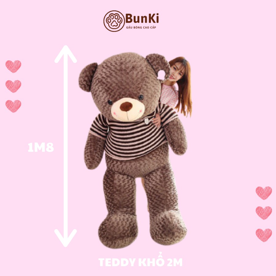 [GẤU BÔNG TEDDY SOCOLA CAO CẤP] 200CM-180CM khổ vải