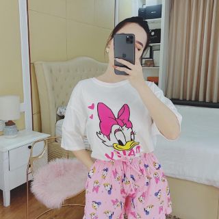 BỘ VỊT DAISY
