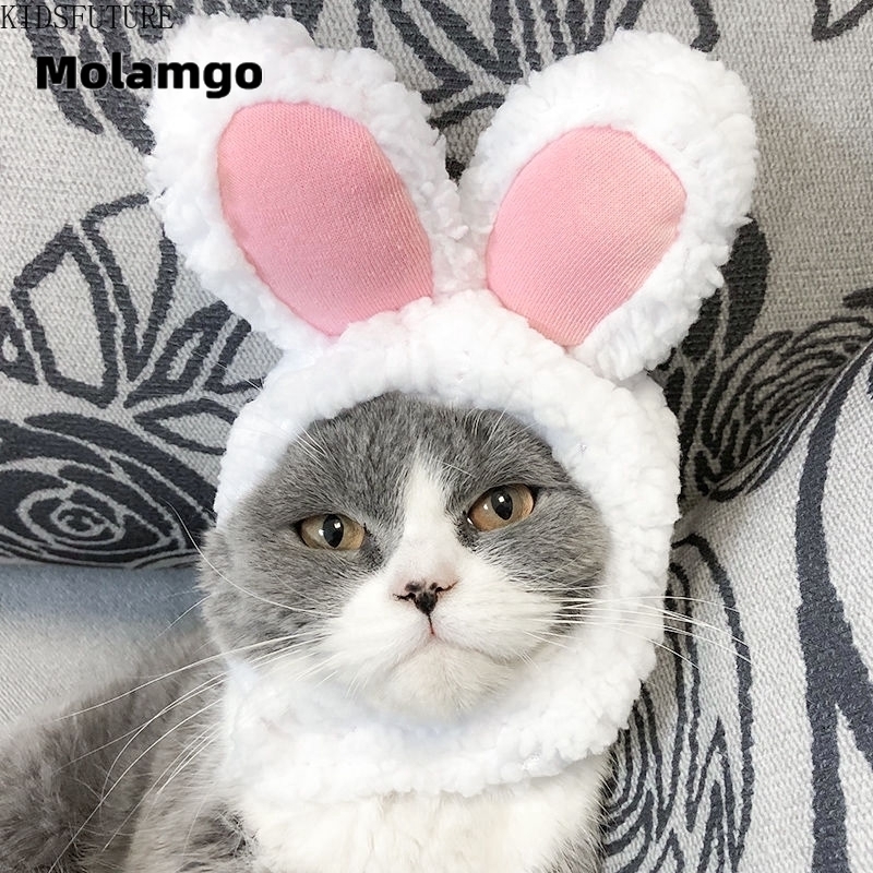MOLAMGO  Mũ Tai Mèo Đáng Yêu Cho Thú Cưng mũ cho chó mèo