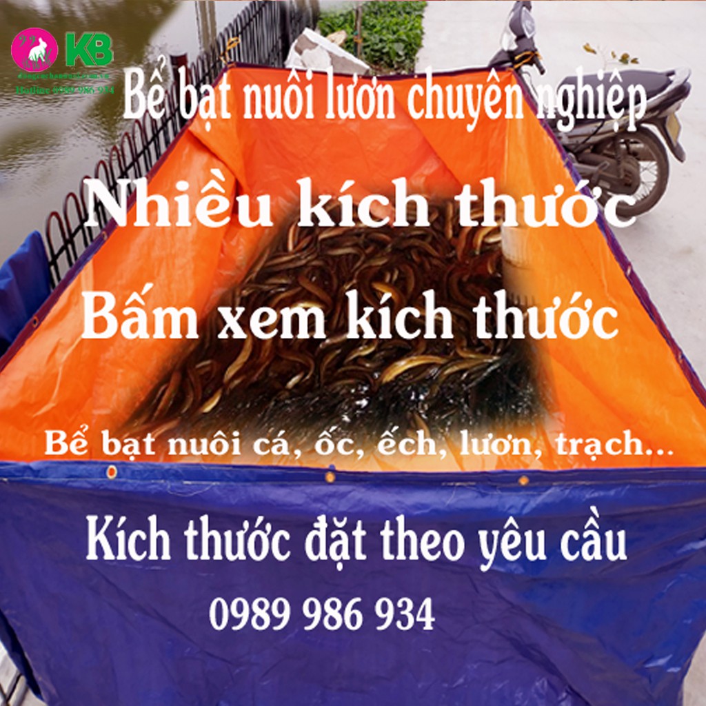 Mã giảm thêm 5% (DUNGSELA5) BỂ BẠT NUÔI LƯƠN ( CHUYÊN NGHIỆP) NHIỀU KÍCH THƯỚC VÀ LÀM THEO YÊU CẦU