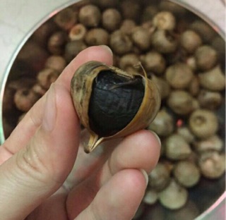 Tỏi đen cô đơn nhà làm