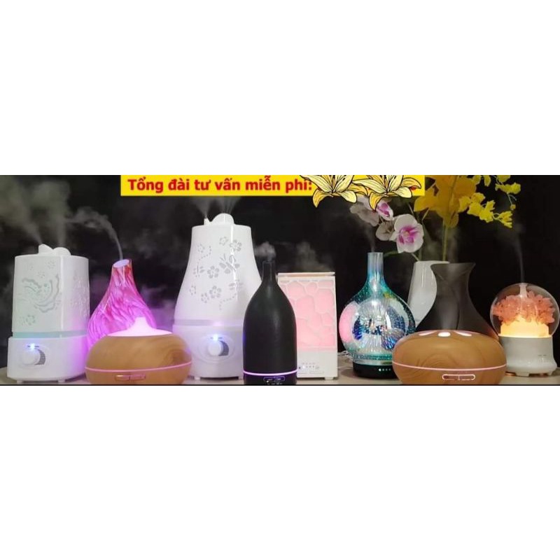 Máy Xông Tinh Dâu Hình Gốm Sang Trọng