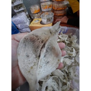 Yến sào thô tổ
