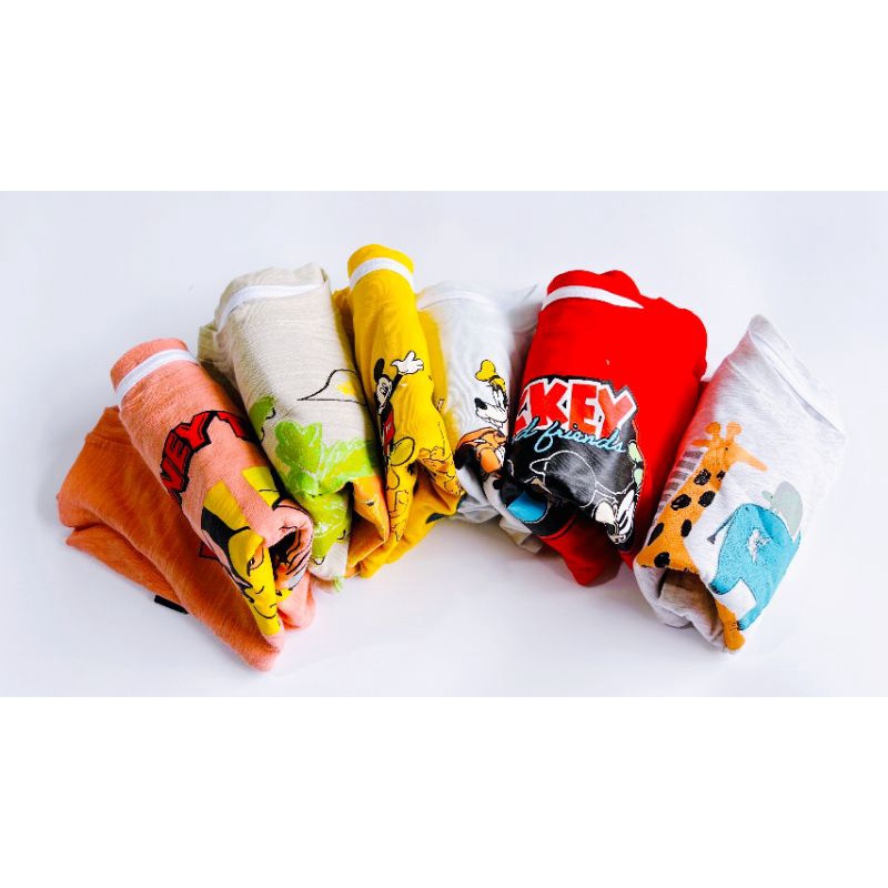 Bộ cotton xuất dư RuDesign cho bé trai SN40