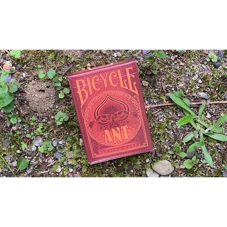 Bài tây chính hãng cao cấp : Bicycle Ant (Red) Playing Cards