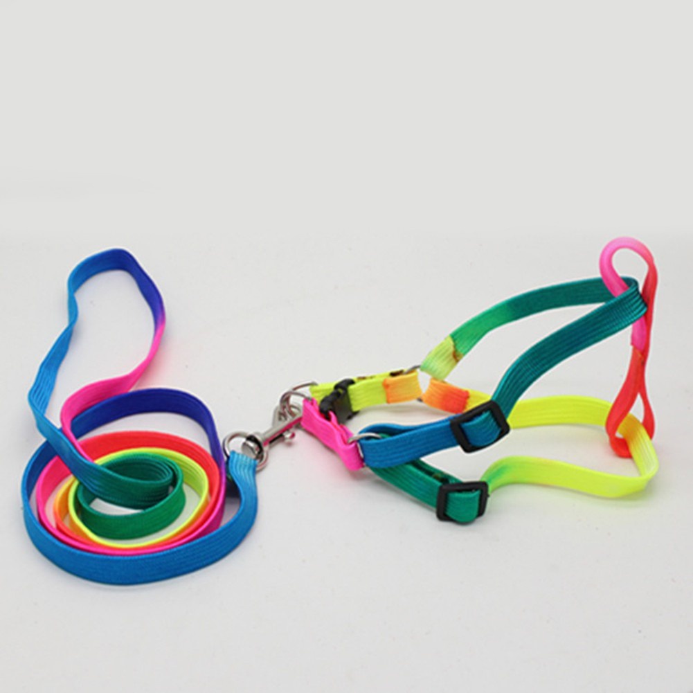 Dây Yên Cương Dùng Cho Thú Cưng