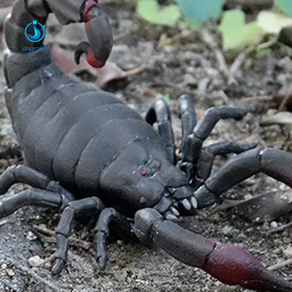 Đồ Chơi Bọ Cạp Bóp Xả Stress