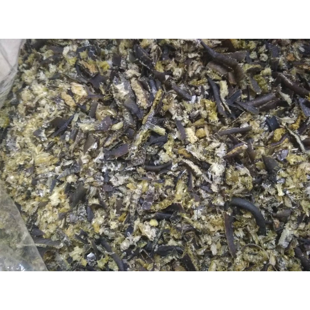 Vụn tảo biển Chile - Tảo xoắn Chi lê - Rong biển Chile VỤN