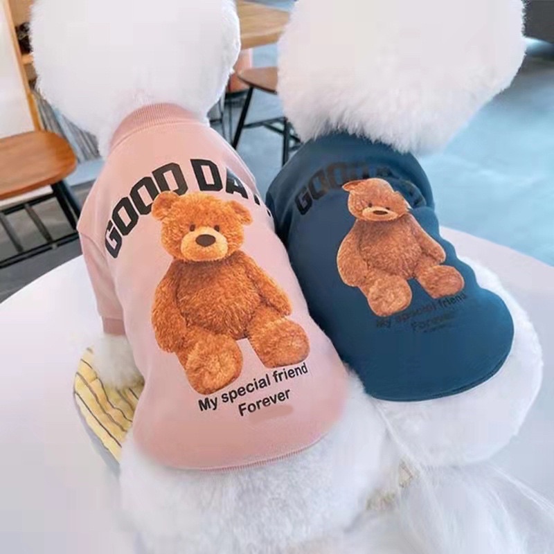 Áo gấu teddy hot trend cho chó mèo