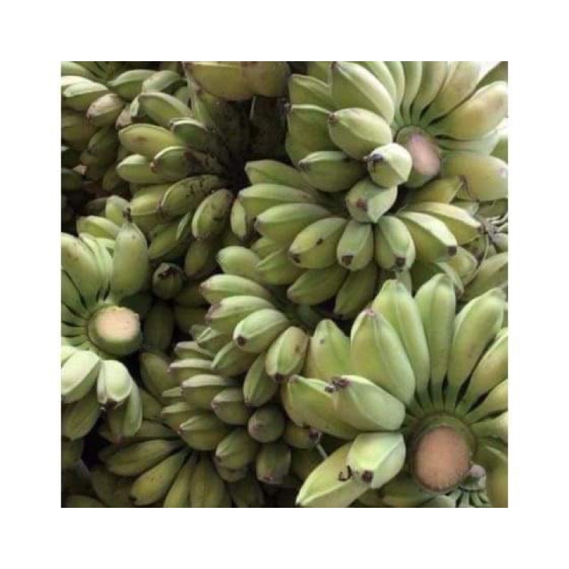 Chuối Sáp Dẻo Ngon