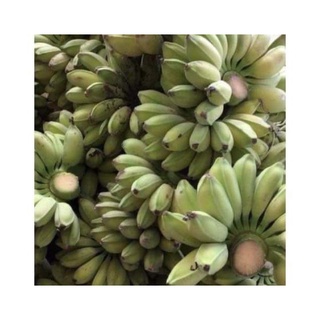 Chuối Sáp Dẻo Ngon