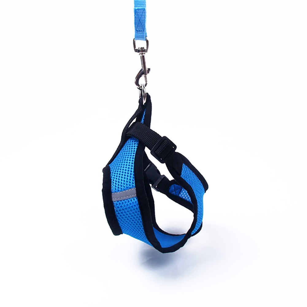 Bộ áo và dây xích dắt thú cưng đi dạo kiểu dáng đáng yêu