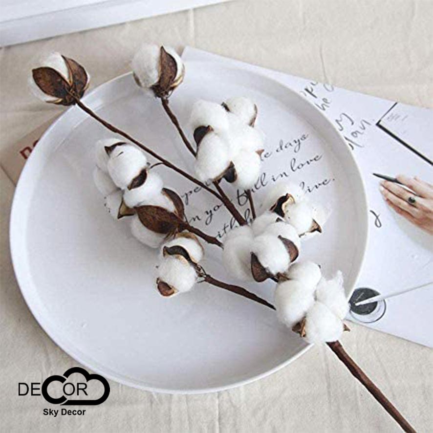 Cành hoa gòn trang trí Noel, Giáng Sinh, Xmas, Christmas, tiểu cảnh nhà cửa, cửa hàng, nhiều bông, Sky decor