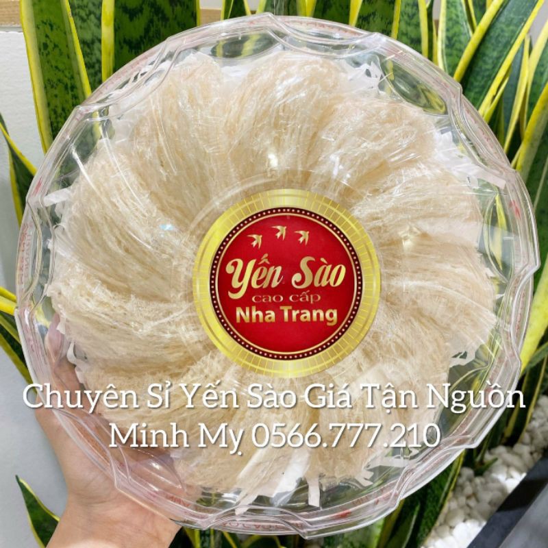 Tổ Yến Tinh Chế Sợi [ Hộp 50gram ] + Tặng kèm đầy đủ đồ chưng - Chuyên Sỉ Yến Sào tại Khánh Hòa