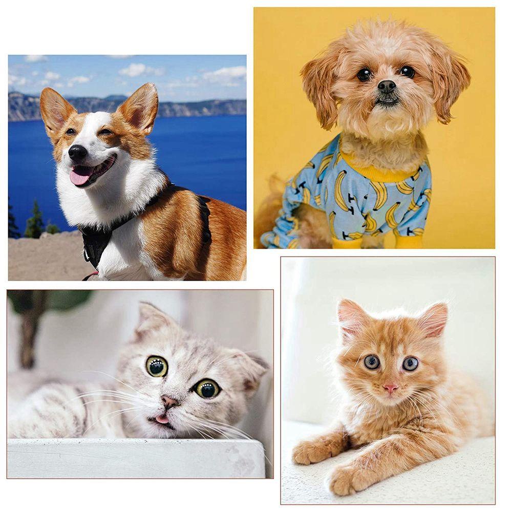 Lược Chải Lông Làm Sạch Vết Bẩn Cho Thú Cưng Nhỏ