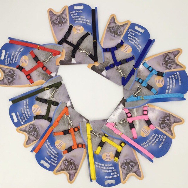 DÂY DẮT MÈO Đi DẠO