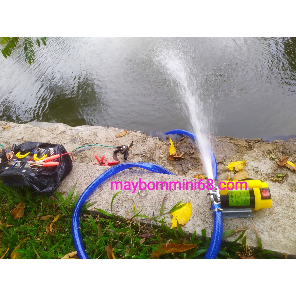 Máy bơm cánh gạt 24v-300w buồng bơm inox bơm dầu, bơm mật ong, hóa chất