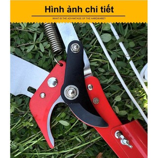 [Sale Sập Sàn] Kéo cắt tỉa cành cây trên cao có thể gập lại thép cacbon cao SK5 - AD