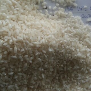 1kg gạo séng cù 2 ăn thử