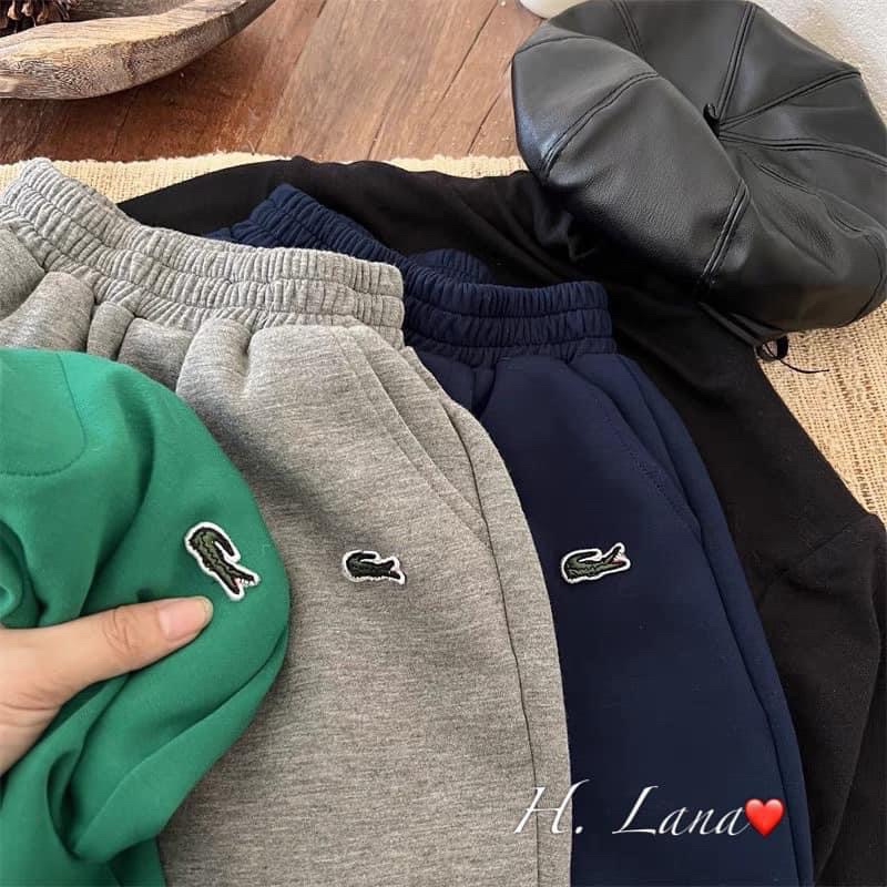 COMBO 3 QUẦN NỈ LACOSTE CHO BÉ